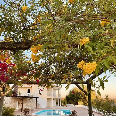 Villa Botanica Silves